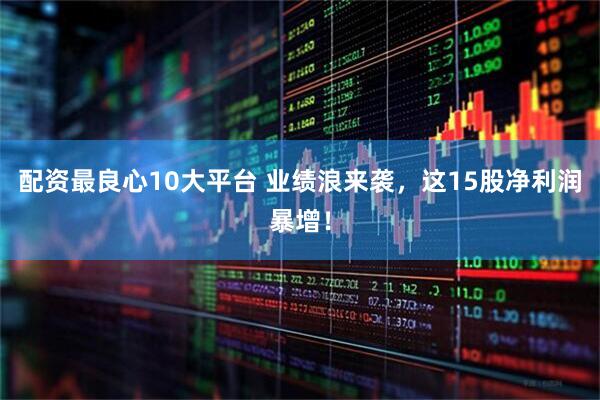 配资最良心10大平台 业绩浪来袭，这15股净利润暴增！